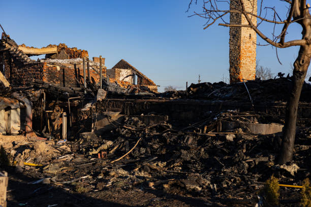 Reliable Fire Damage Repair contractor in Redmond, WA by Fire Damage Doption